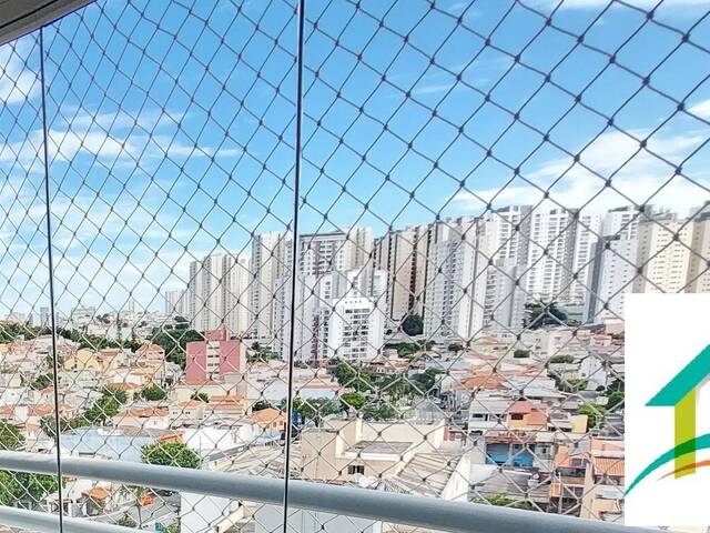 #AP3764-NE - Apartamento para Venda em São Caetano do Sul - SP - 1